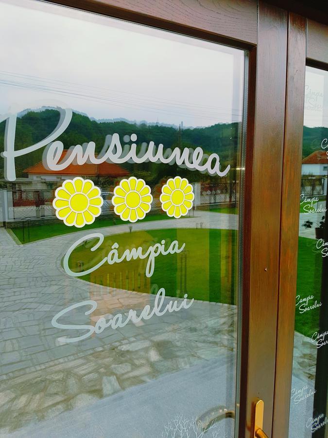 Pensiunea Campia Soarelui Apa Neagra Екстер'єр фото